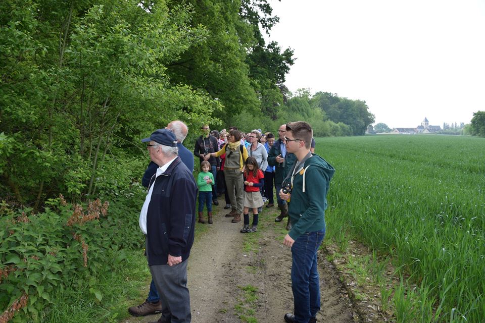 Wandeling Herdersem