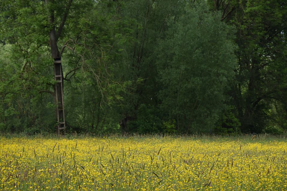 Wandeling Herdersem